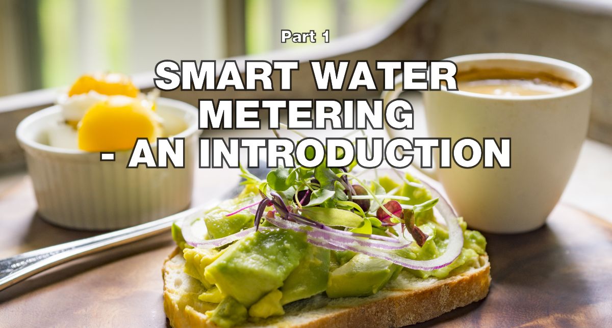 Smart Metering Business Case - Part 1